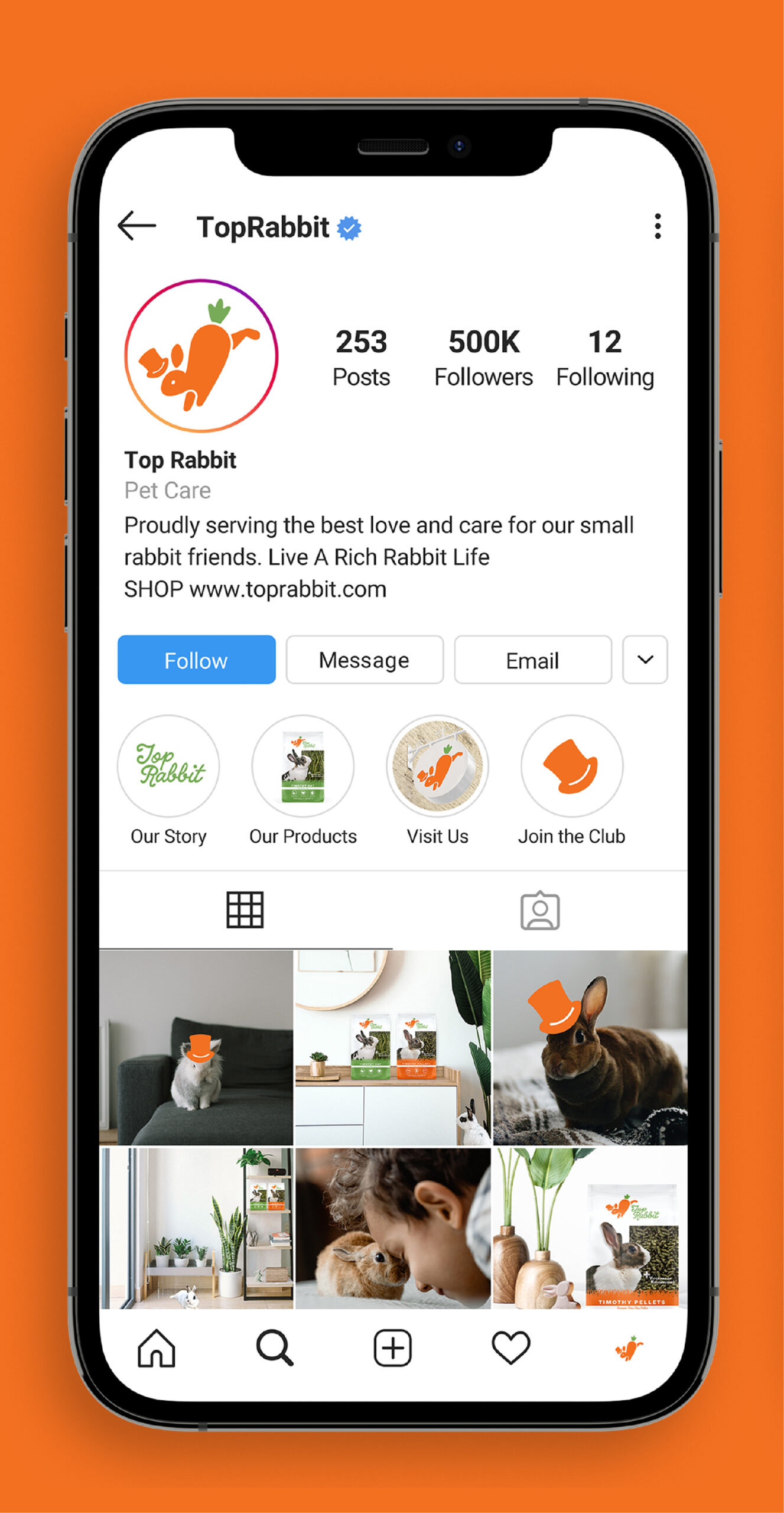 Top-Rabbit-IG-Social-Profile-Mobile